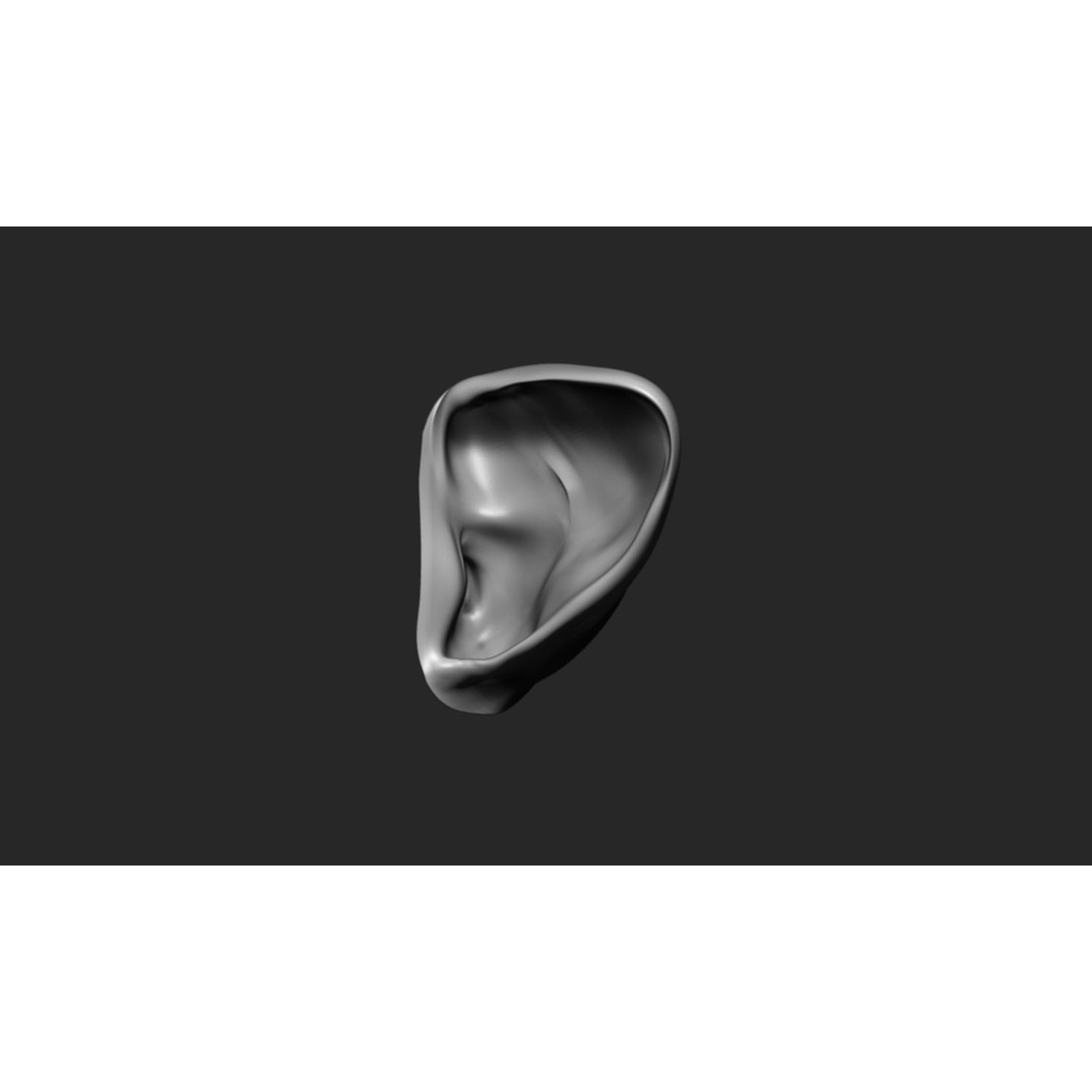 24 Ears 3D Model – Multi Mesh Brush Collection for ZBrush - View 24