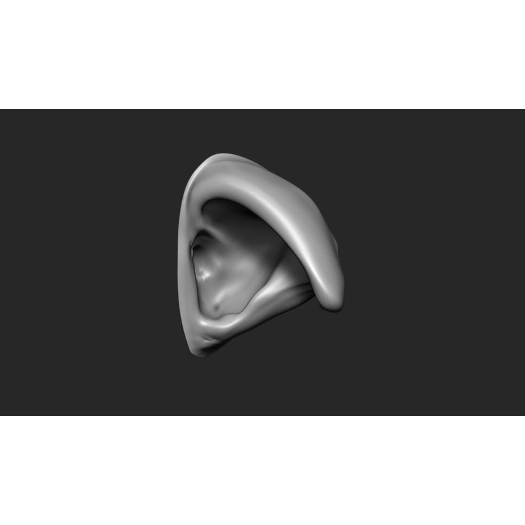 24 Ears 3D Model – Multi Mesh Brush Collection for ZBrush - View 25