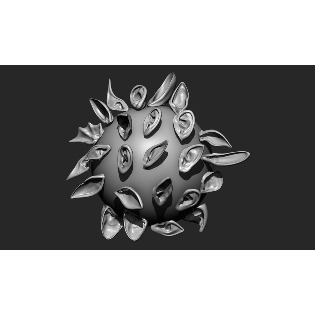 24 Ears 3D Model – Multi Mesh Brush Collection for ZBrush - View 3