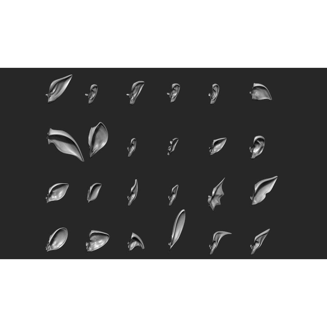 24 Ears 3D Model – Multi Mesh Brush Collection for ZBrush - View 4