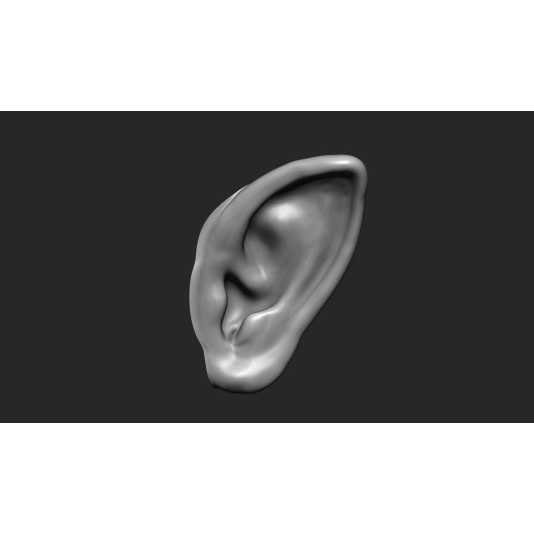 24 Ears 3D Model – Multi Mesh Brush Collection for ZBrush - View 6