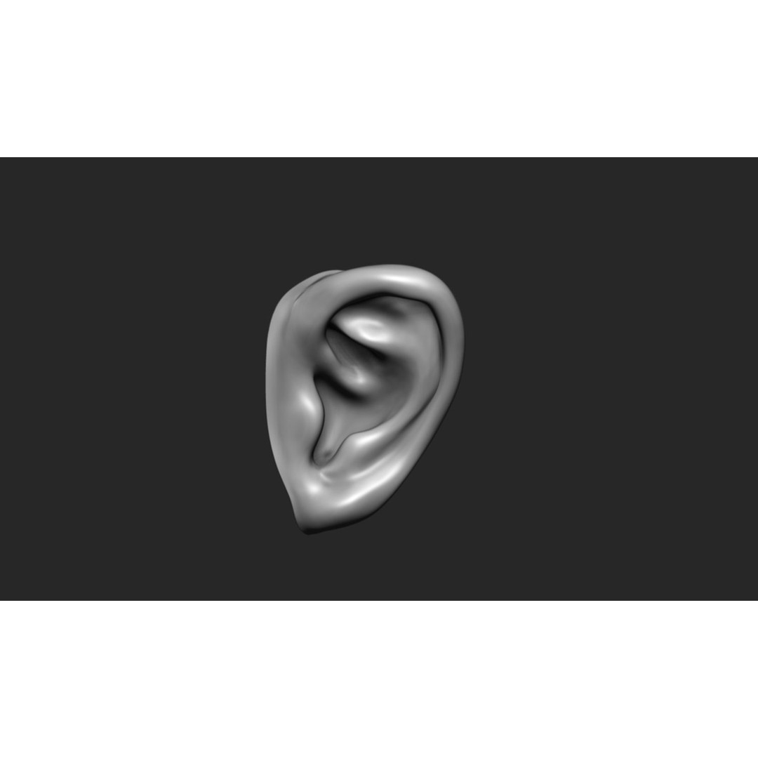 24 Ears 3D Model – Multi Mesh Brush Collection for ZBrush - View 8