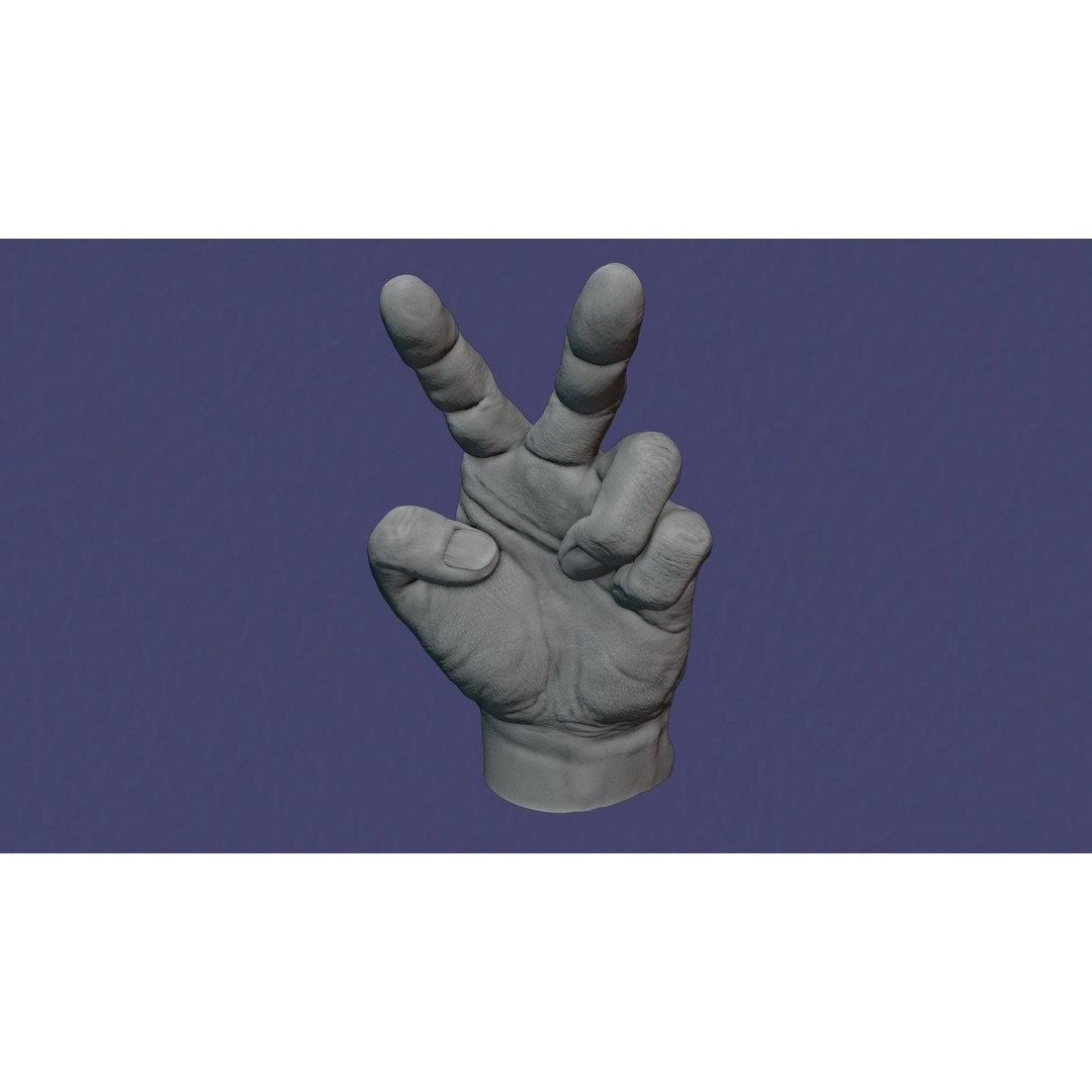 Rigged Human Hand 3D Model – Low Poly PBR Asset for Animation - View 17