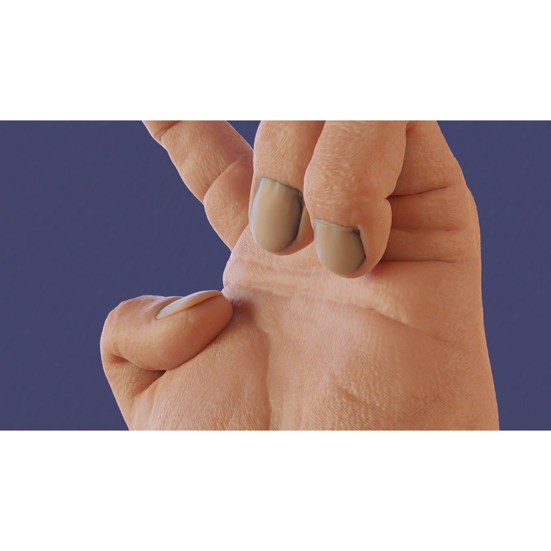 Rigged Human Hand 3D Model – Low Poly PBR Asset for Animation - View 19