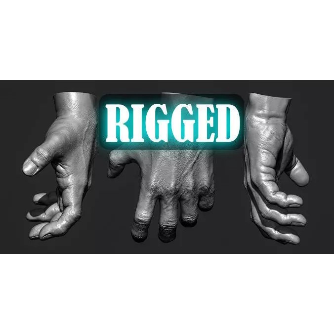 Rigged Human Hand 3D Model – Low Poly PBR Asset for Animation - View 2
