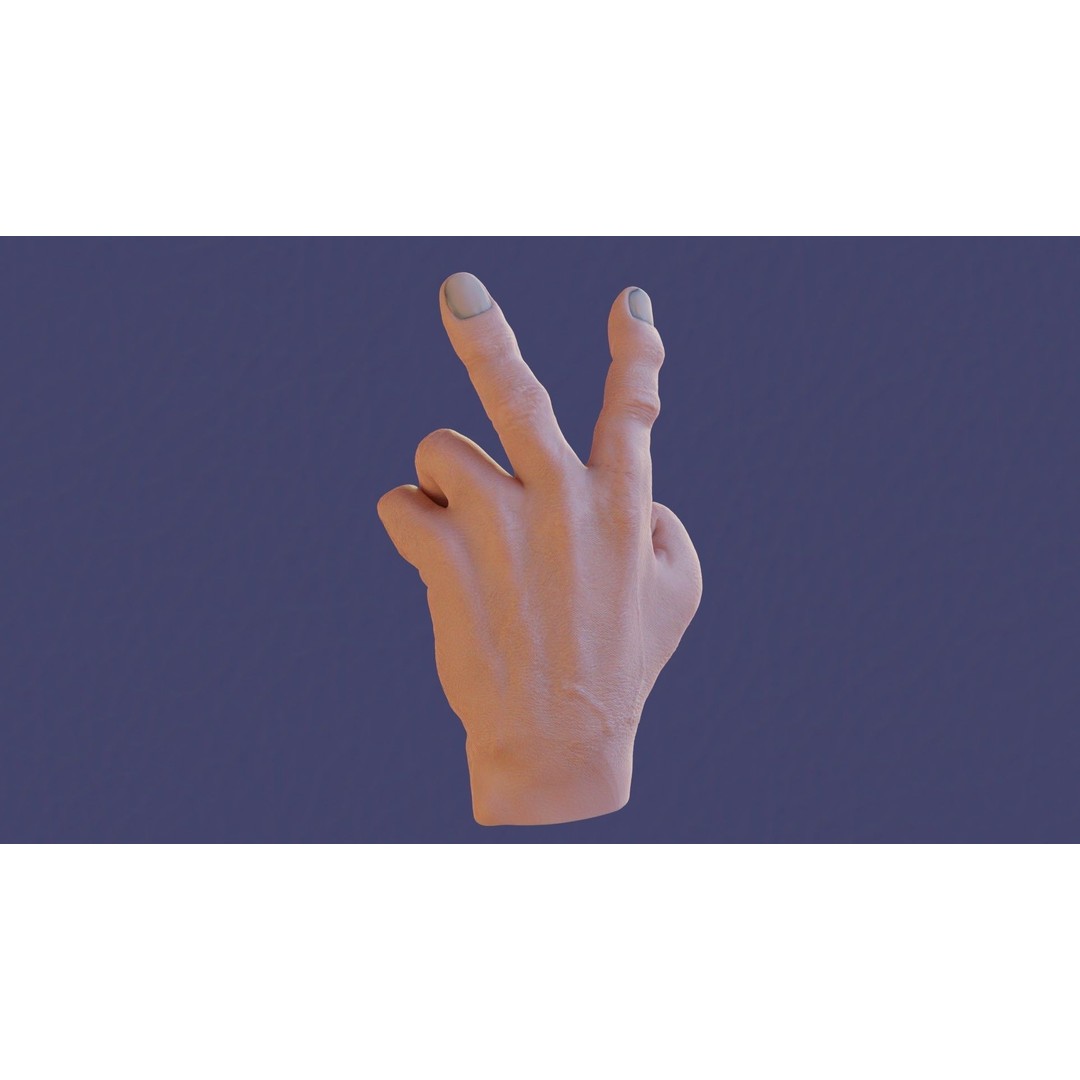 Rigged Human Hand 3D Model – Low Poly PBR Asset for Animation - View 21