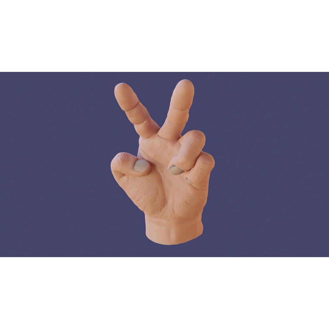 Rigged Human Hand 3D Model – Low Poly PBR Asset for Animation - View 23