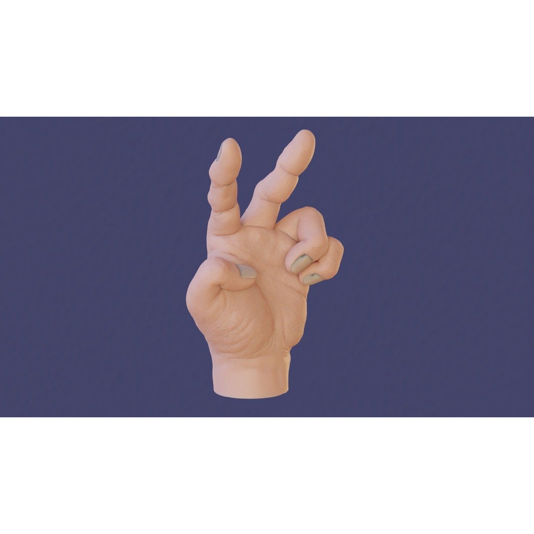 Rigged Human Hand 3D Model – Low Poly PBR Asset for Animation - View 26