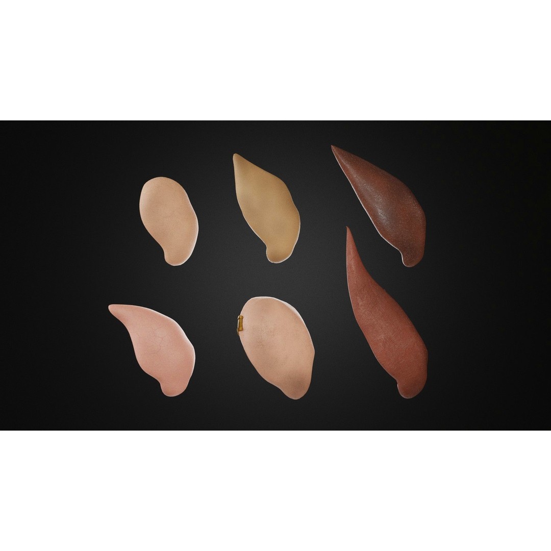 Ear Set 3D Model – Low Poly Character Anatomy, FBX, OBJ, STL - View 3