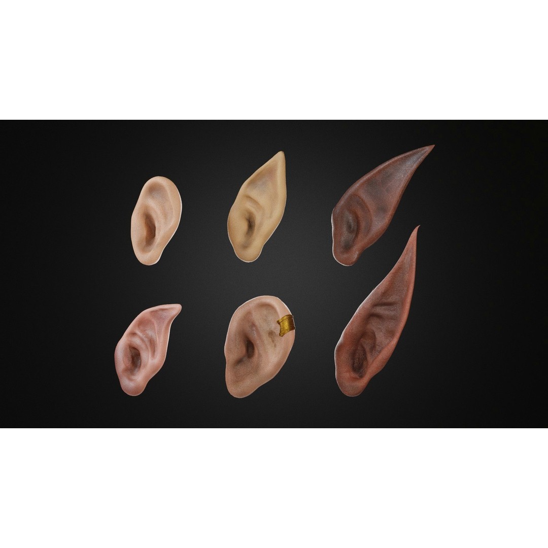 Ear Set 3D Model – Low Poly Character Anatomy, FBX, OBJ, STL - View 4