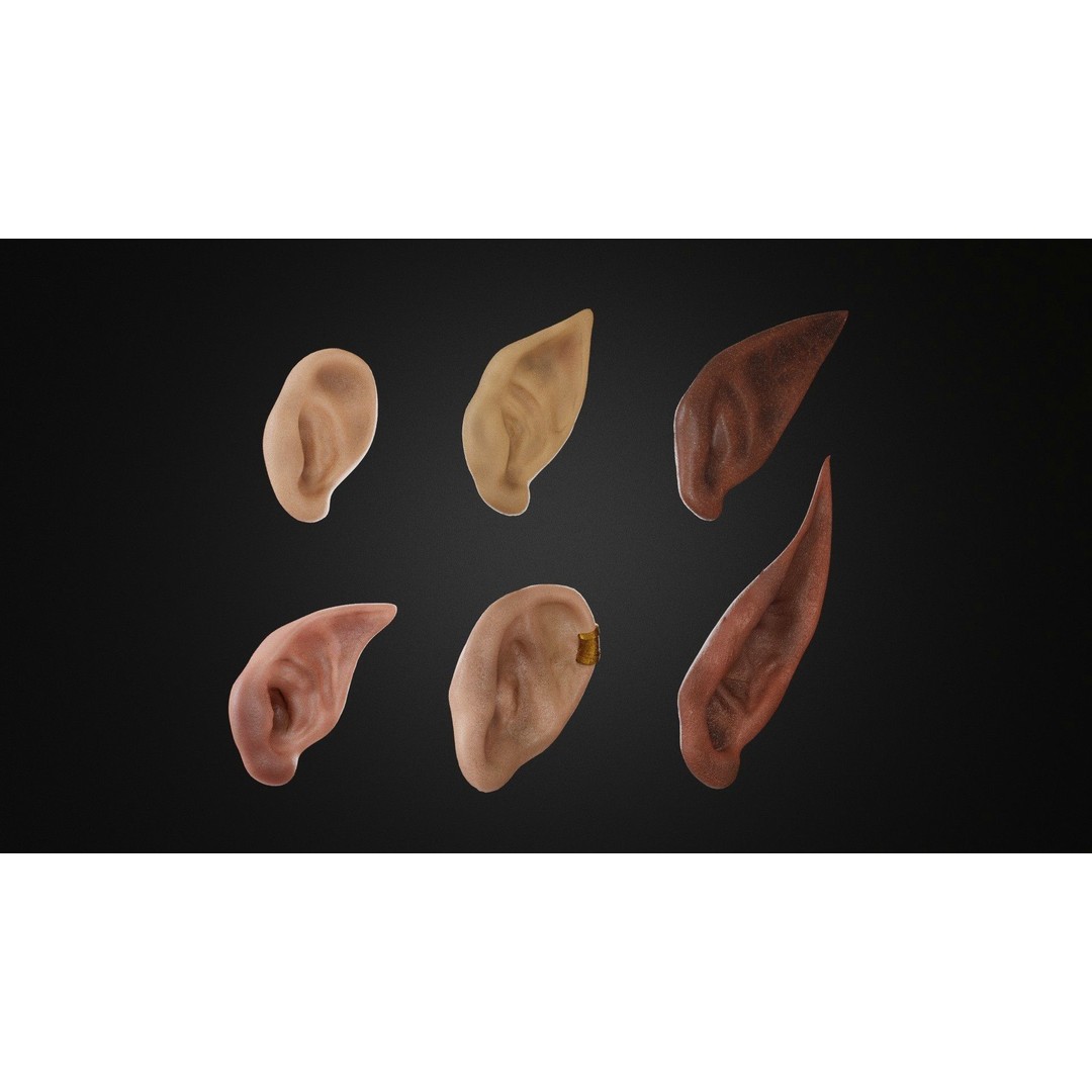 Ear Set 3D Model – Low Poly Character Anatomy, FBX, OBJ, STL - View 5