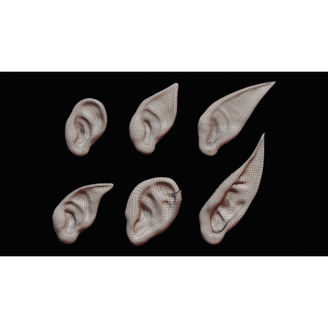Ear Set 3D Model – Low Poly Character Anatomy, FBX, OBJ, STL - View 6
