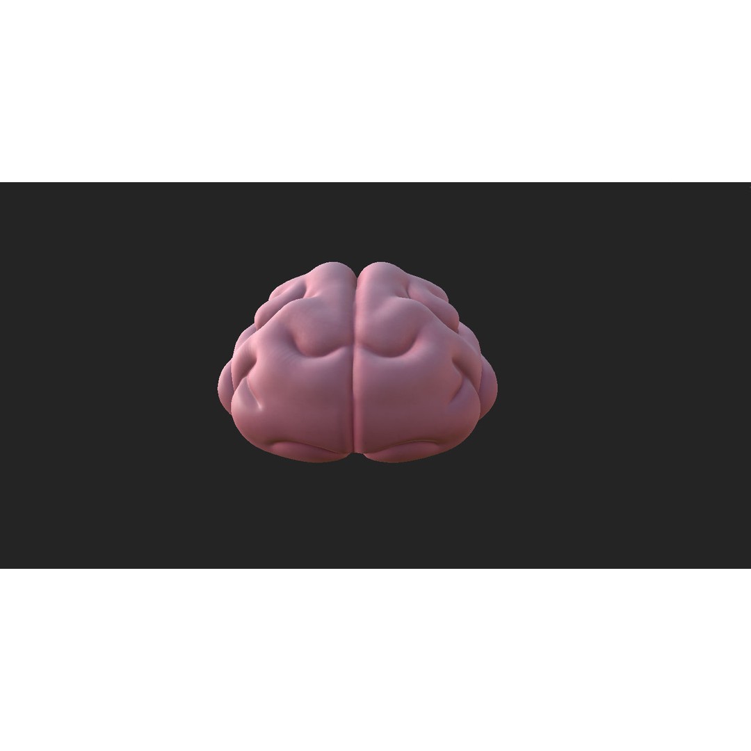 Human Brain 3D Model – Cartoon Character with PBR Textures, FBX & OBJ - View 10