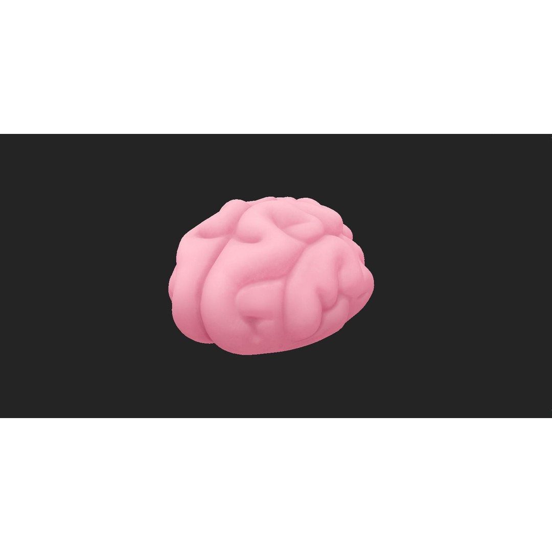 Human Brain 3D Model – Cartoon Character with PBR Textures, FBX & OBJ - View 11