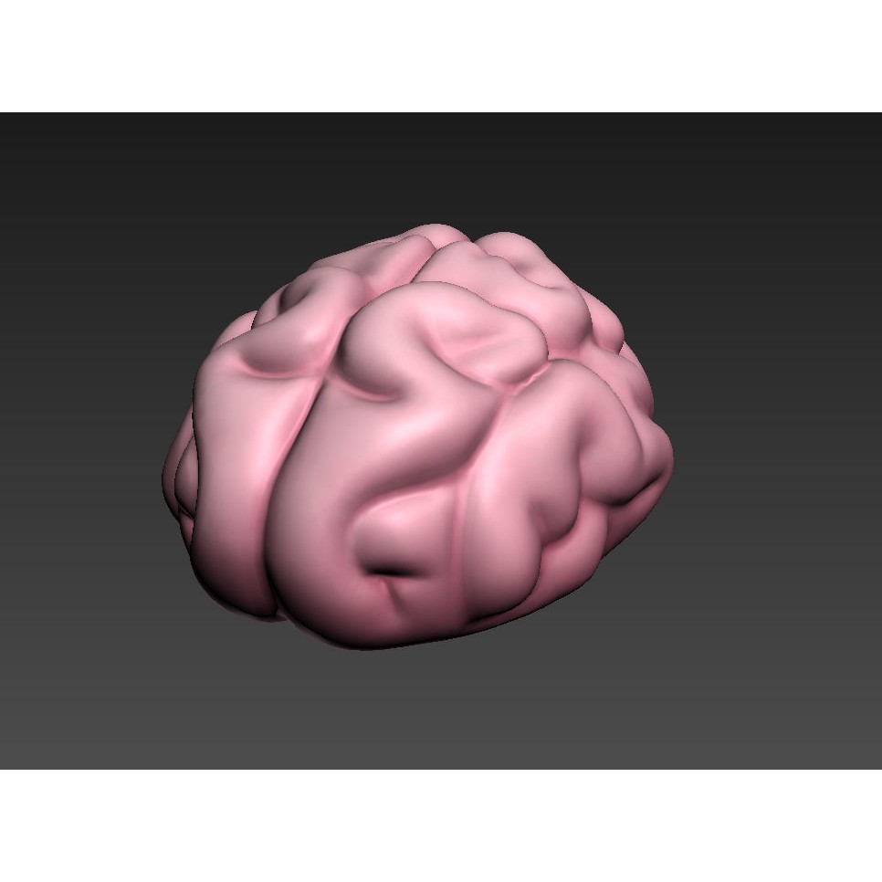 Human Brain 3D Model – Cartoon Character with PBR Textures, FBX & OBJ - View 13