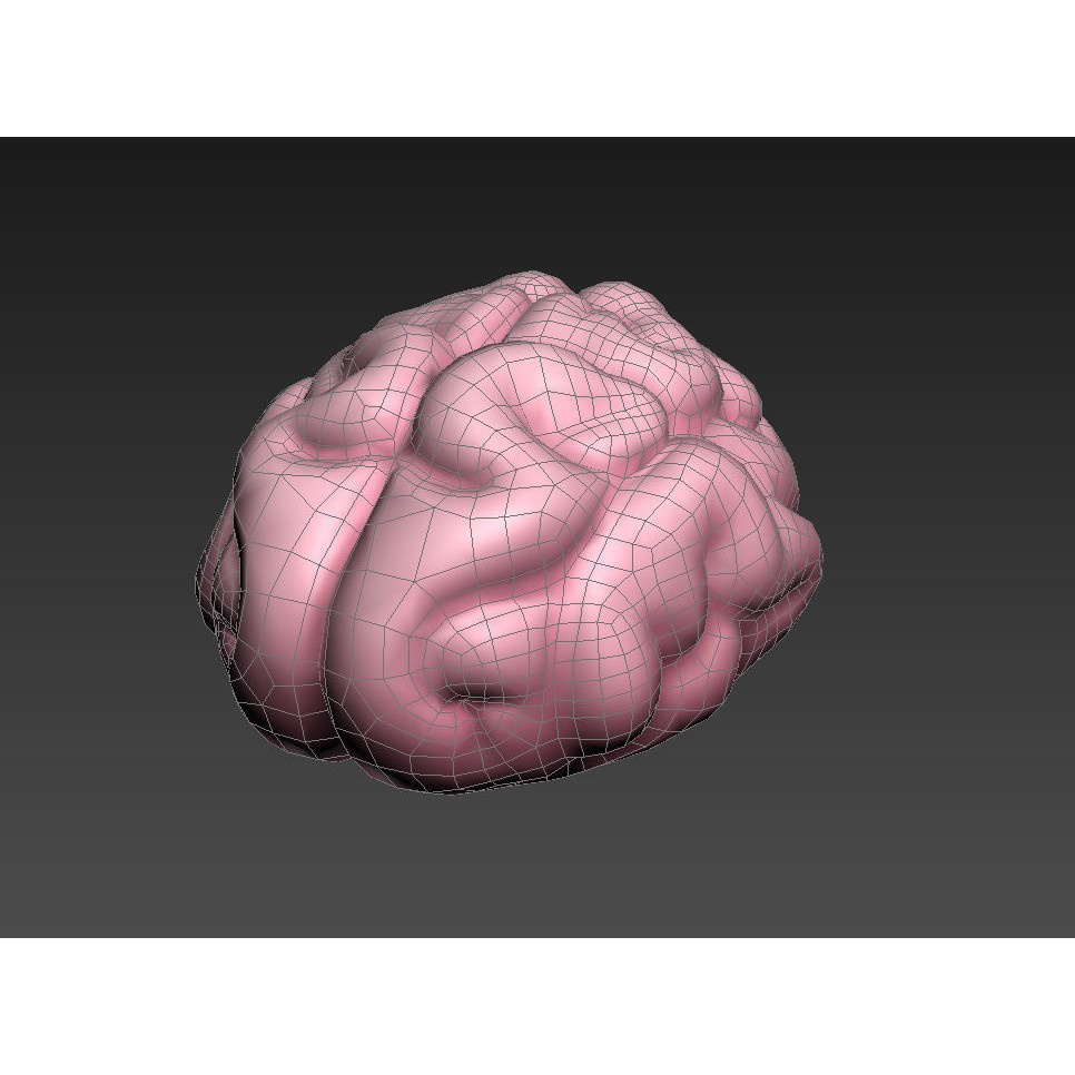 Human Brain 3D Model – Cartoon Character with PBR Textures, FBX & OBJ - View 14