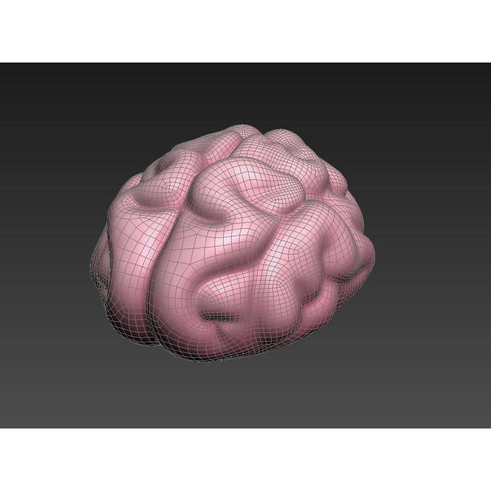 Human Brain 3D Model – Cartoon Character with PBR Textures, FBX & OBJ - View 15