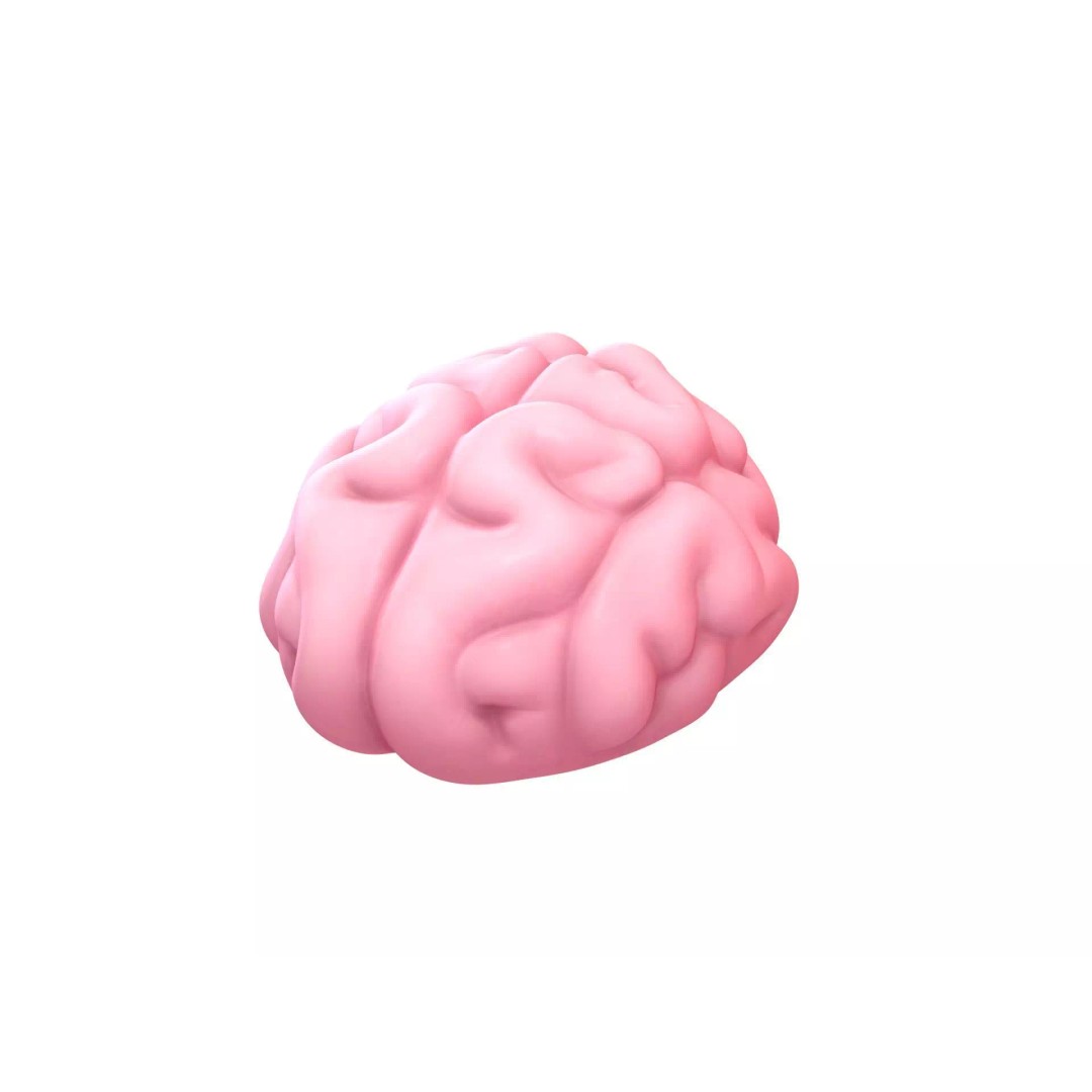 Human Brain 3D Model – Cartoon Character with PBR Textures, FBX & OBJ - View 2