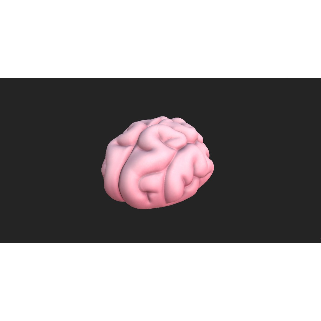 Human Brain 3D Model – Cartoon Character with PBR Textures, FBX & OBJ - View 3
