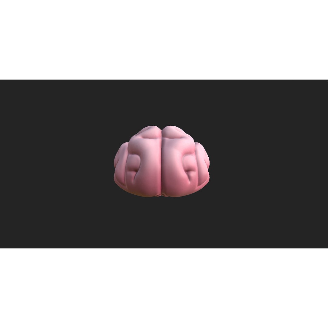 Human Brain 3D Model – Cartoon Character with PBR Textures, FBX & OBJ - View 5