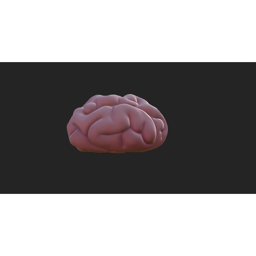 Human Brain 3D Model – Cartoon Character with PBR Textures, FBX & OBJ - View 7