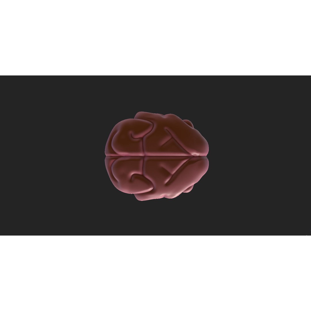 Human Brain 3D Model – Cartoon Character with PBR Textures, FBX & OBJ - View 8