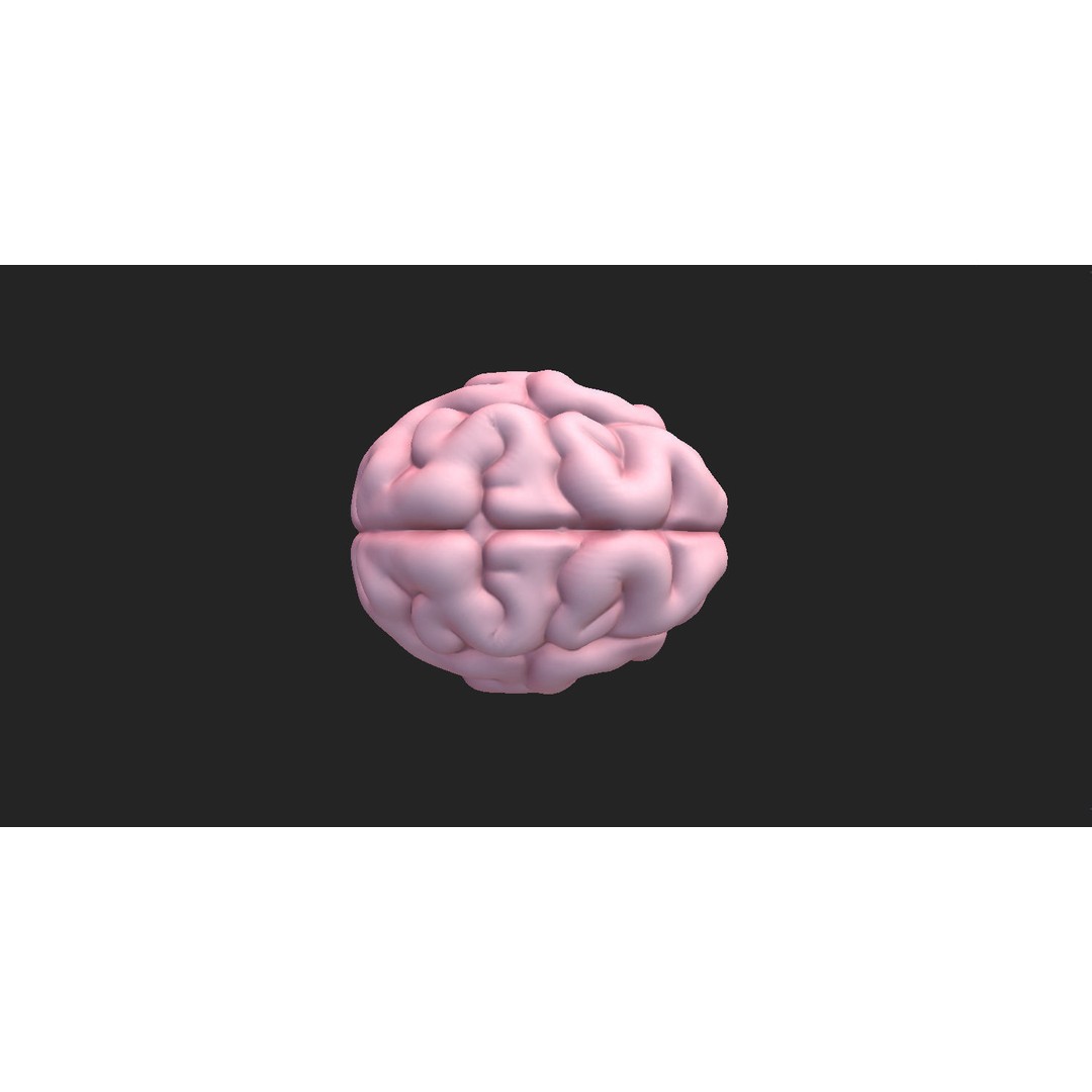 Human Brain 3D Model – Cartoon Character with PBR Textures, FBX & OBJ - View 9
