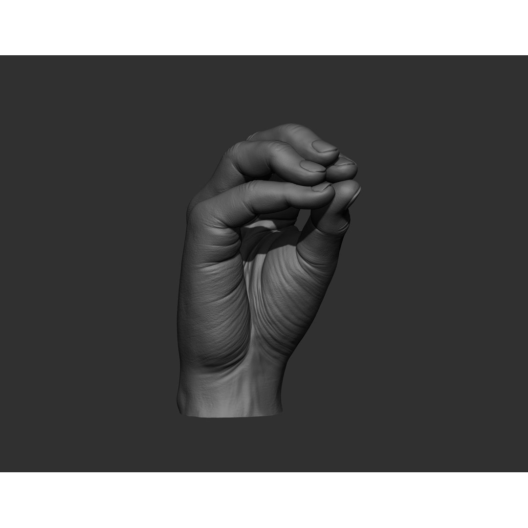 Realistic Male Hands 3D Model – High Poly Collection, Zbrush, FBX, OBJ - View 11