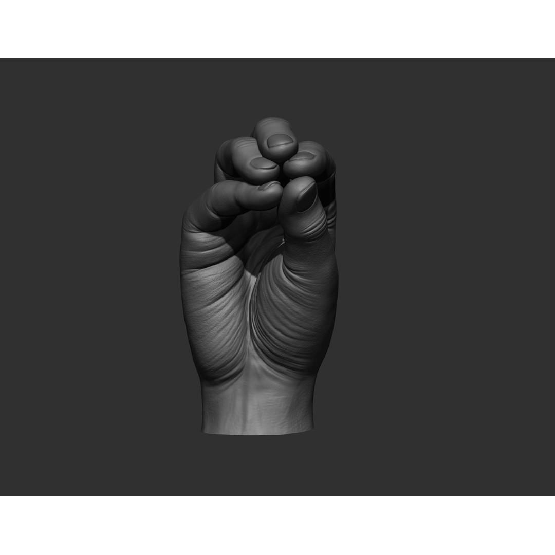 Realistic Male Hands 3D Model – High Poly Collection, Zbrush, FBX, OBJ - View 12