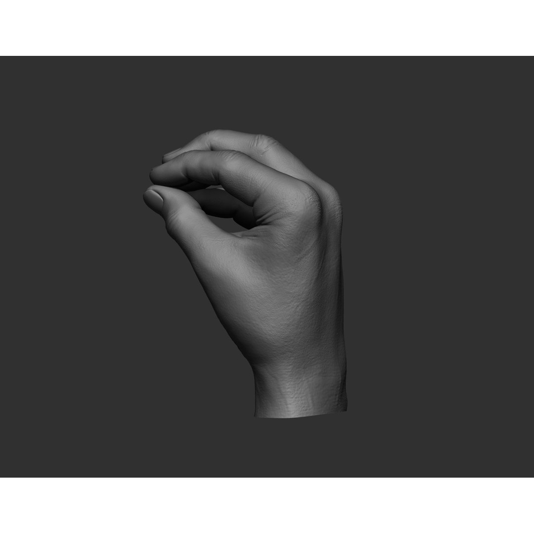 Realistic Male Hands 3D Model – High Poly Collection, Zbrush, FBX, OBJ - View 14