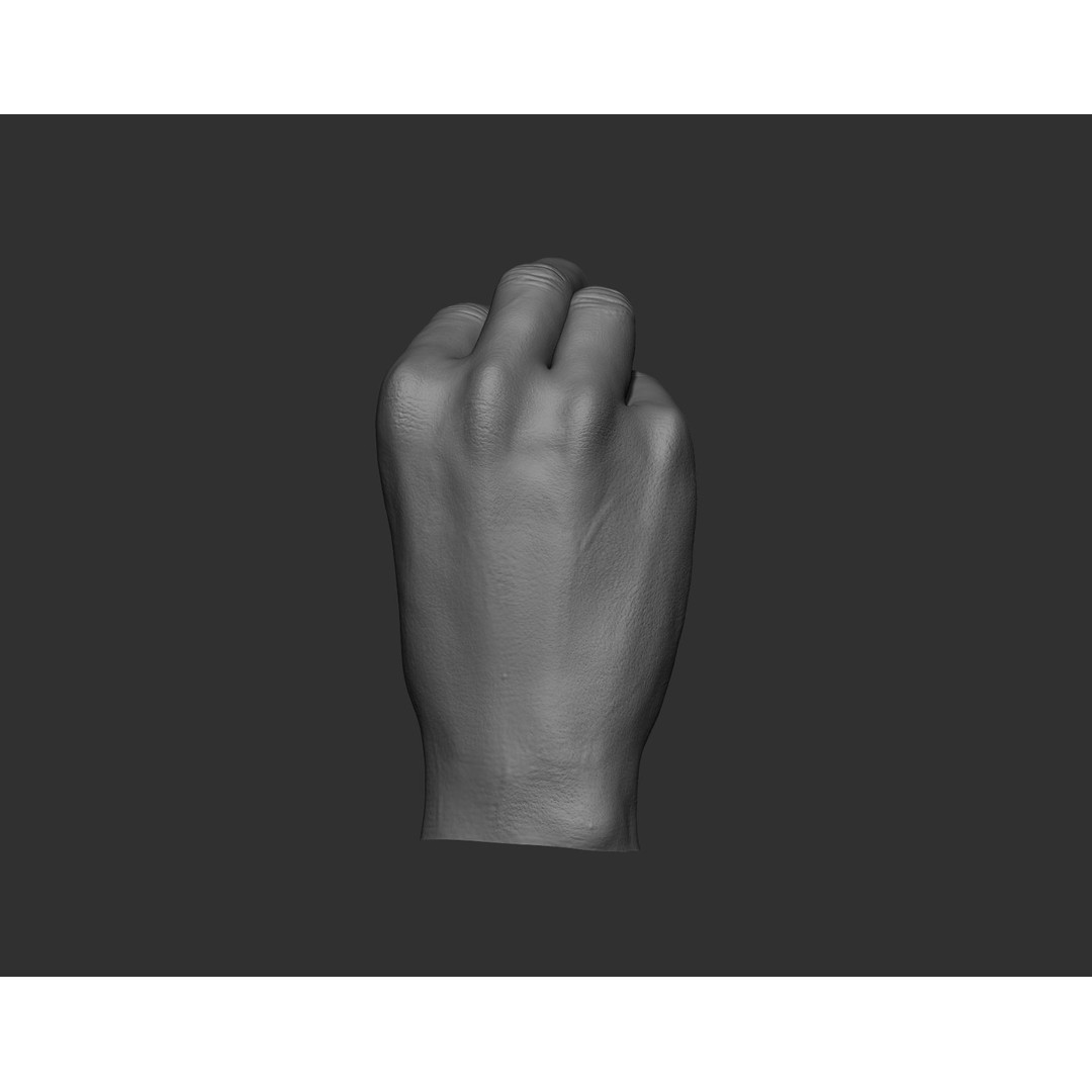 Realistic Male Hands 3D Model – High Poly Collection, Zbrush, FBX, OBJ - View 15