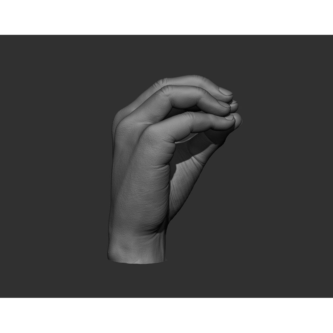 Realistic Male Hands 3D Model – High Poly Collection, Zbrush, FBX, OBJ - View 16