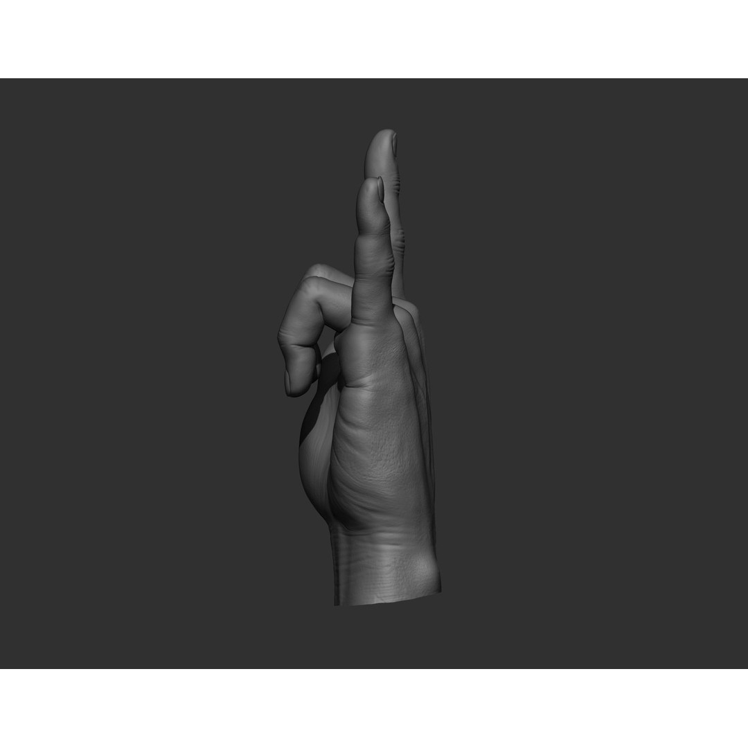 Realistic Male Hands 3D Model – High Poly Collection, Zbrush, FBX, OBJ - View 19