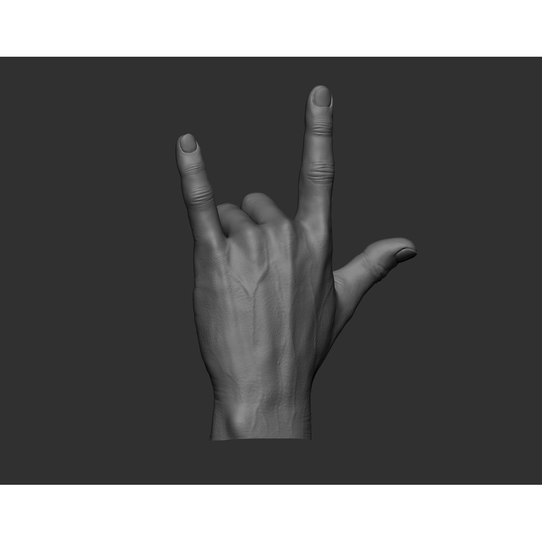 Realistic Male Hands 3D Model – High Poly Collection, Zbrush, FBX, OBJ - View 20