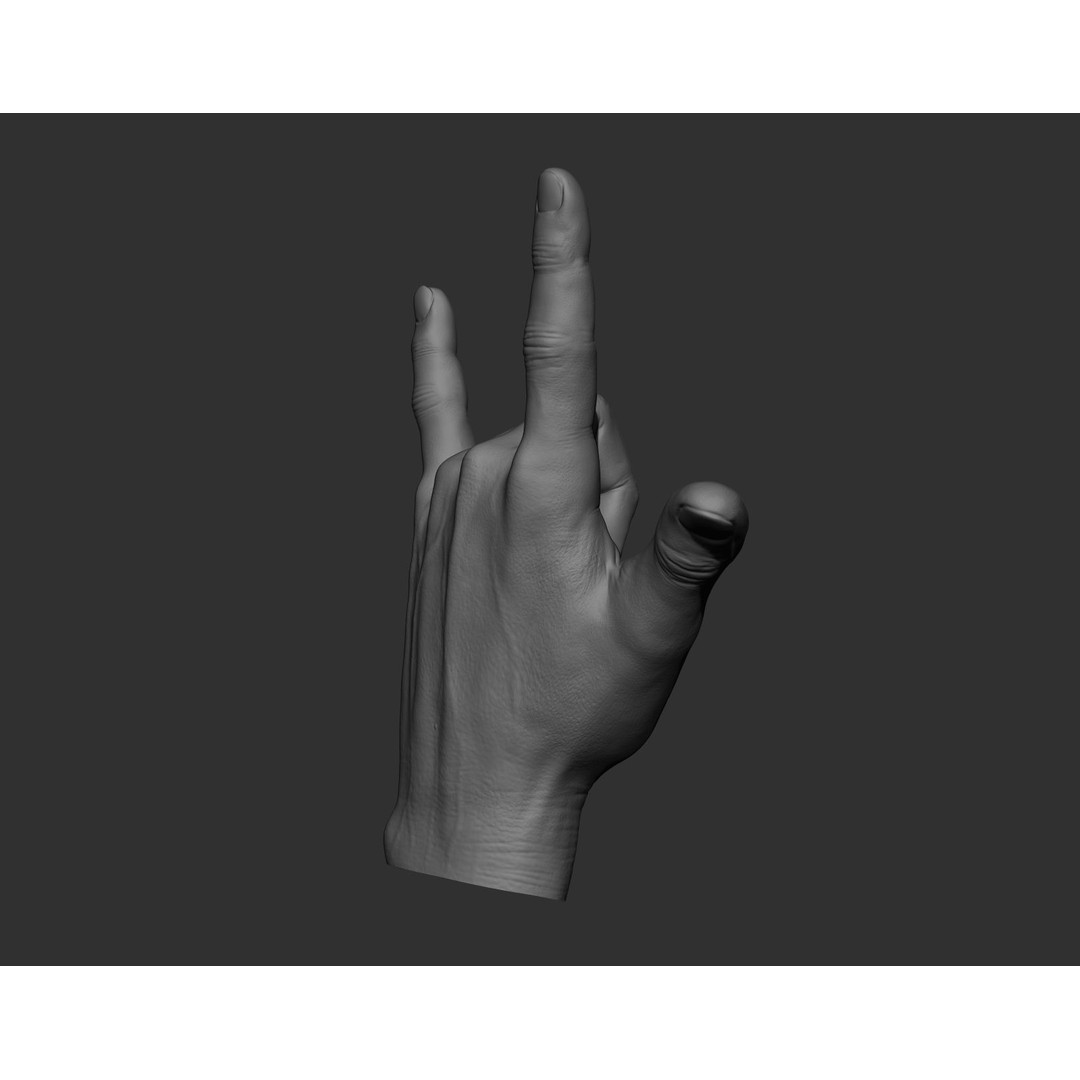 Realistic Male Hands 3D Model – High Poly Collection, Zbrush, FBX, OBJ - View 22