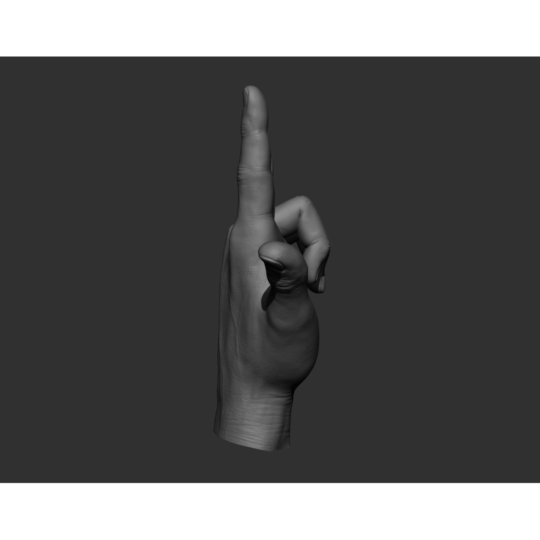 Realistic Male Hands 3D Model – High Poly Collection, Zbrush, FBX, OBJ - View 23