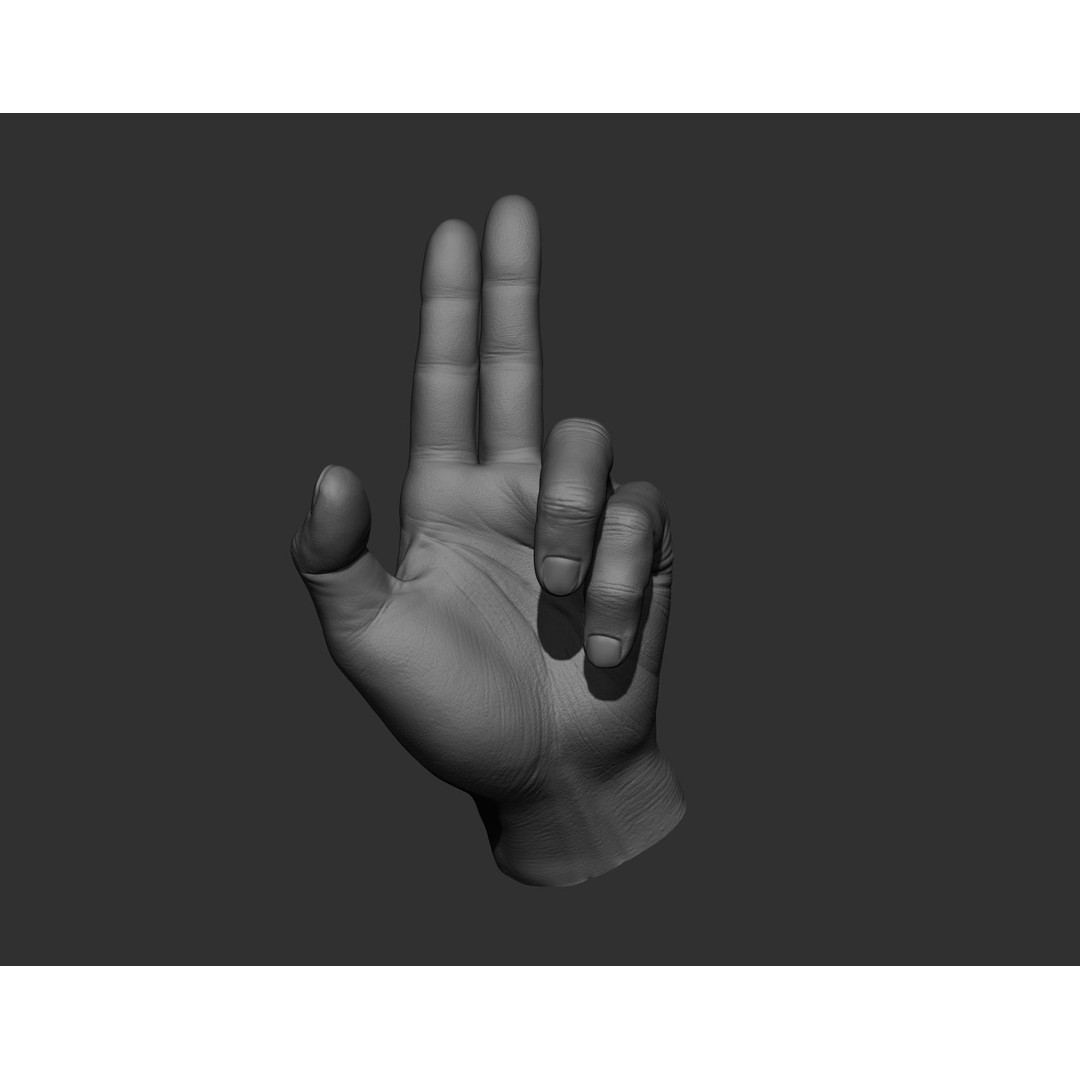 Realistic Male Hands 3D Model – High Poly Collection, Zbrush, FBX, OBJ - View 25