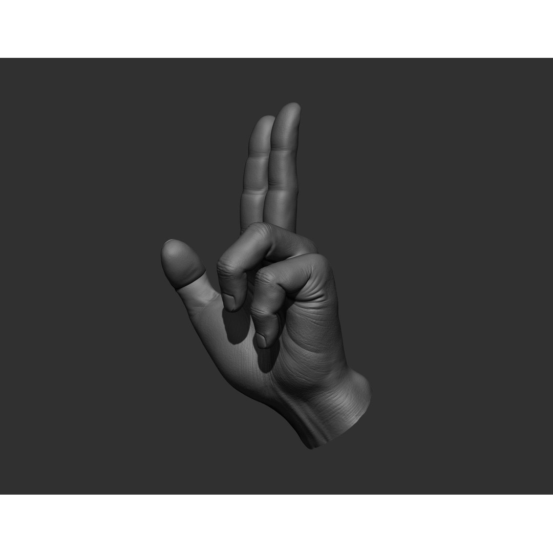 Realistic Male Hands 3D Model – High Poly Collection, Zbrush, FBX, OBJ - View 26