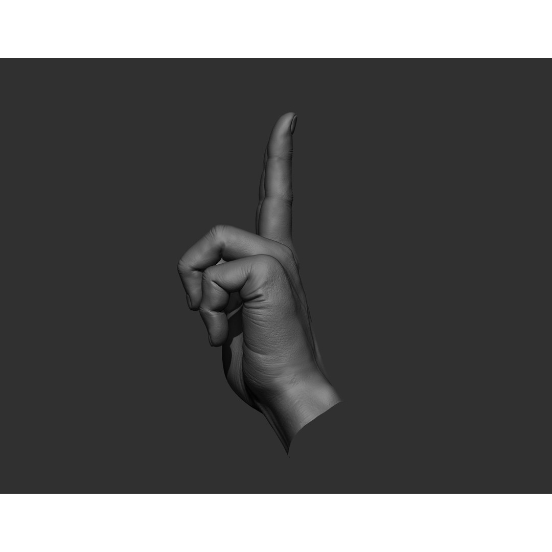 Realistic Male Hands 3D Model – High Poly Collection, Zbrush, FBX, OBJ - View 27