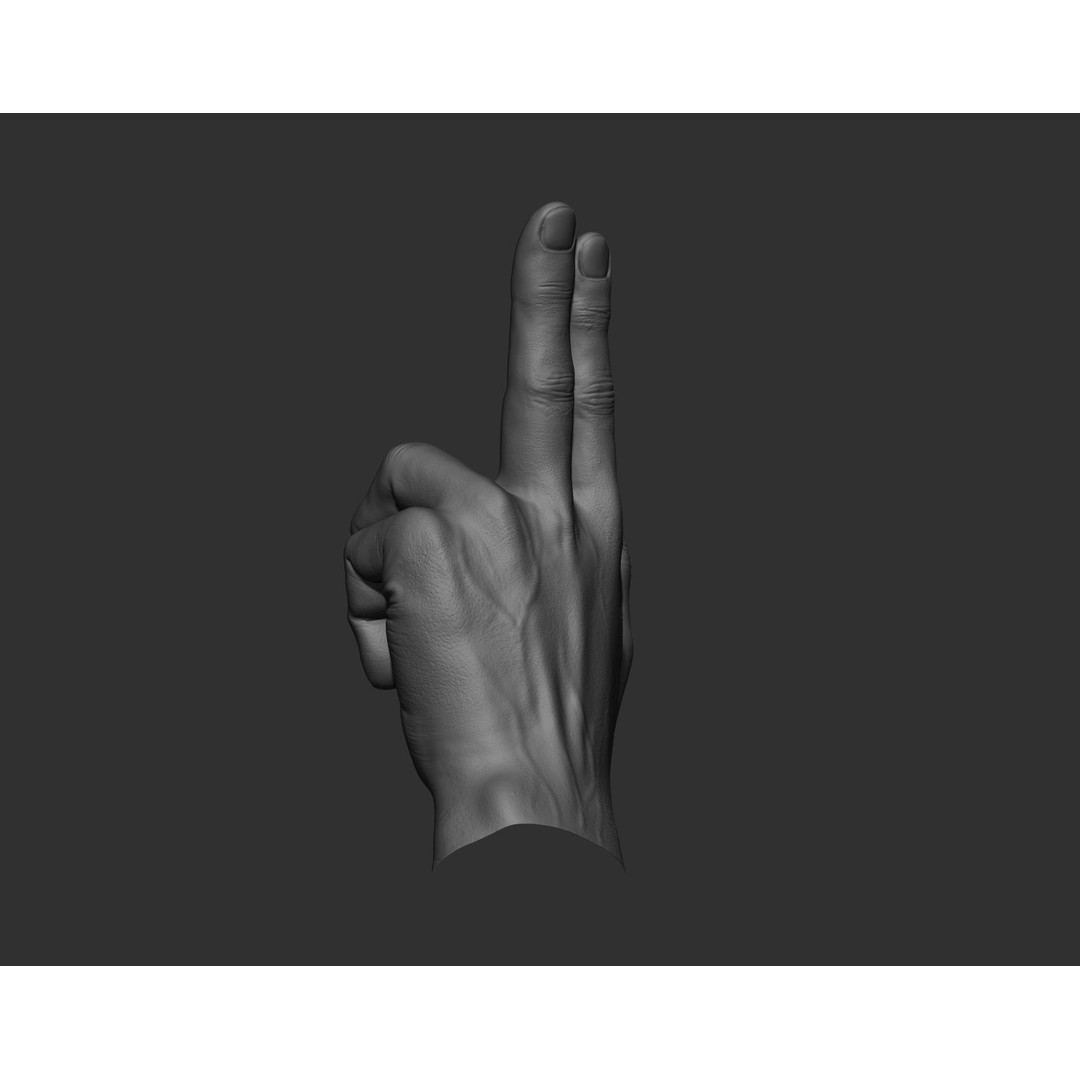 Realistic Male Hands 3D Model – High Poly Collection, Zbrush, FBX, OBJ - View 28
