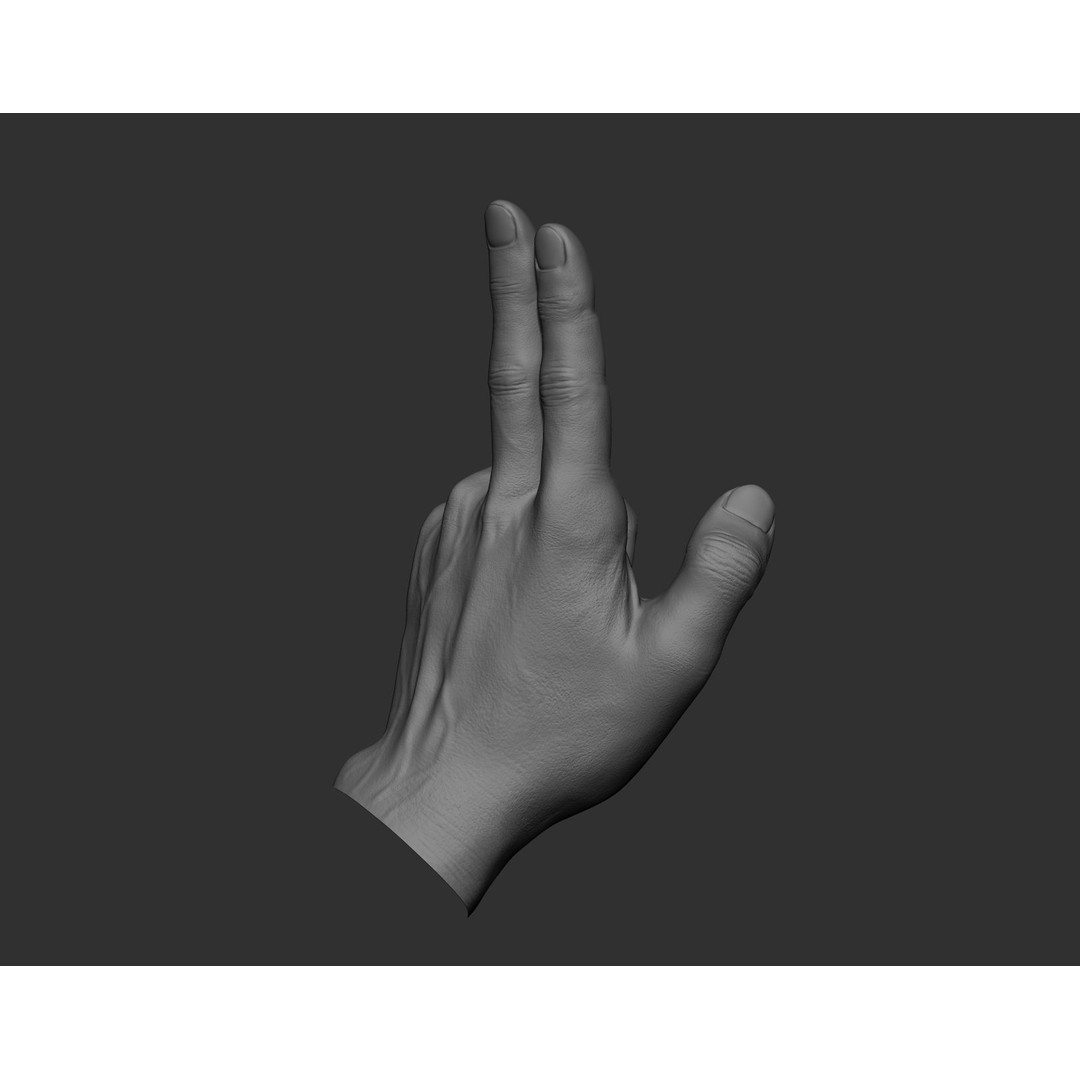 Realistic Male Hands 3D Model – High Poly Collection, Zbrush, FBX, OBJ - View 29