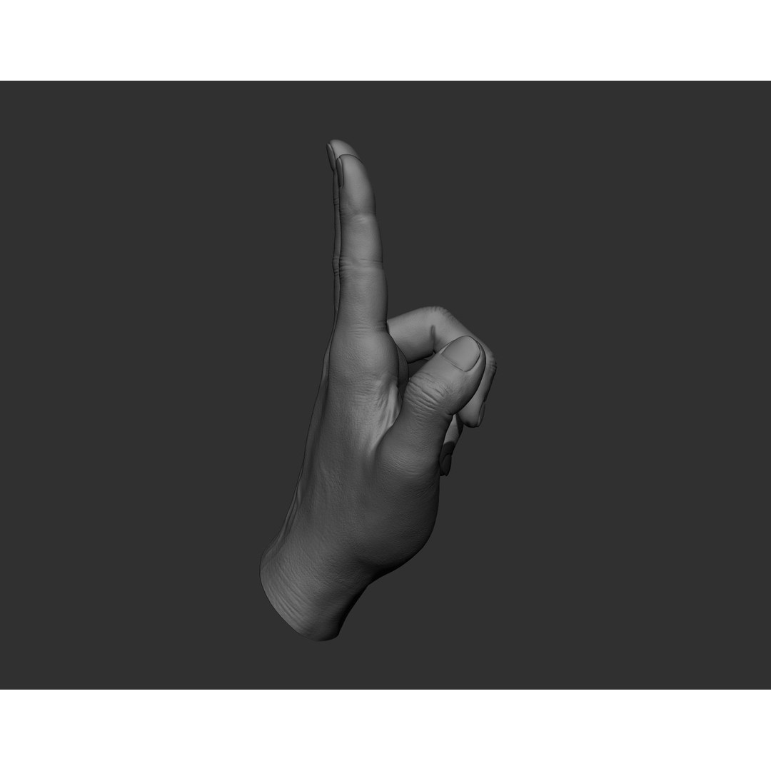 Realistic Male Hands 3D Model – High Poly Collection, Zbrush, FBX, OBJ - View 30