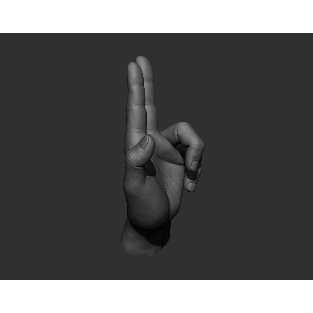 Realistic Male Hands 3D Model – High Poly Collection, Zbrush, FBX, OBJ - View 31