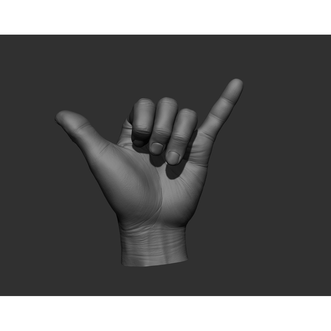 Realistic Male Hands 3D Model – High Poly Collection, Zbrush, FBX, OBJ - View 32