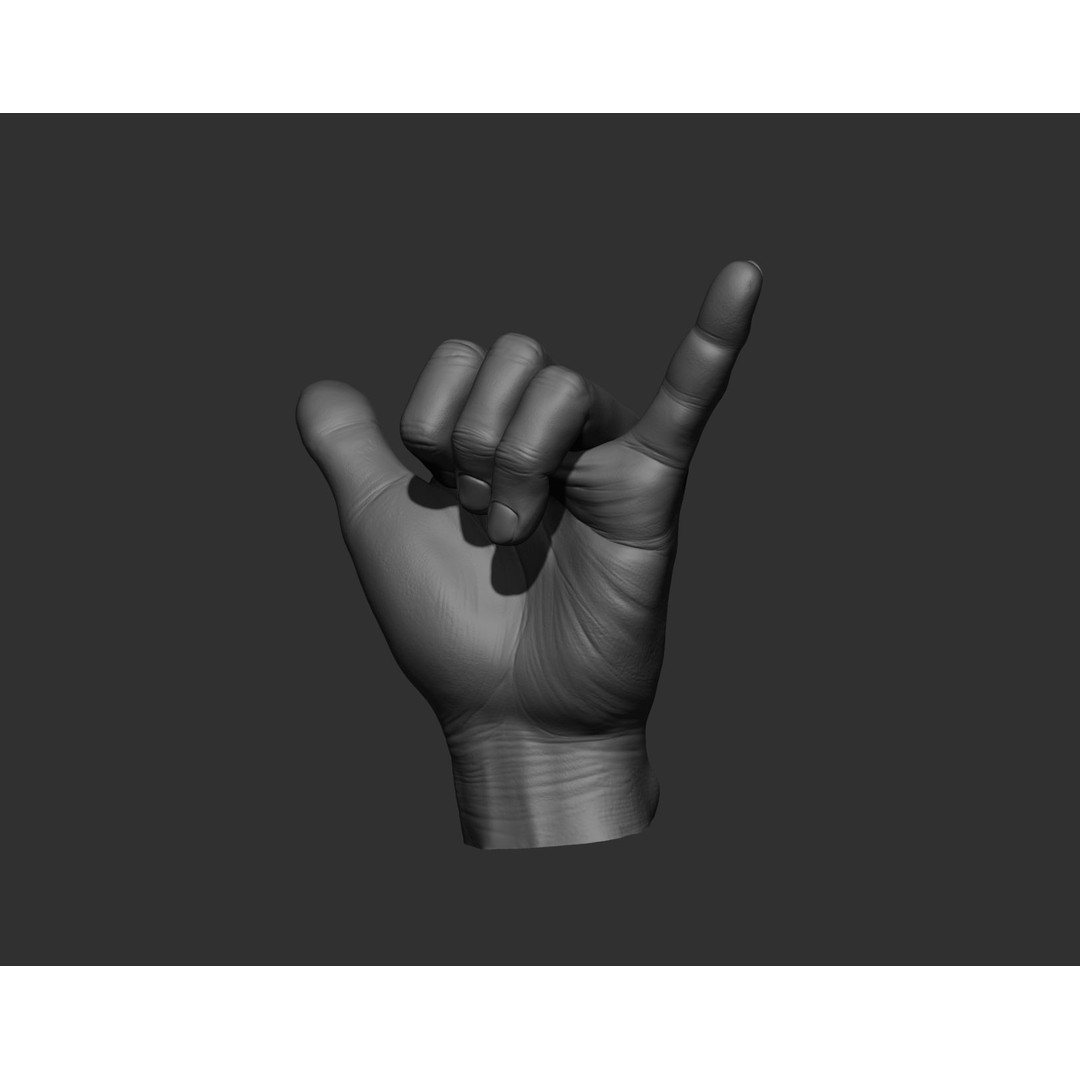 Realistic Male Hands 3D Model – High Poly Collection, Zbrush, FBX, OBJ - View 33