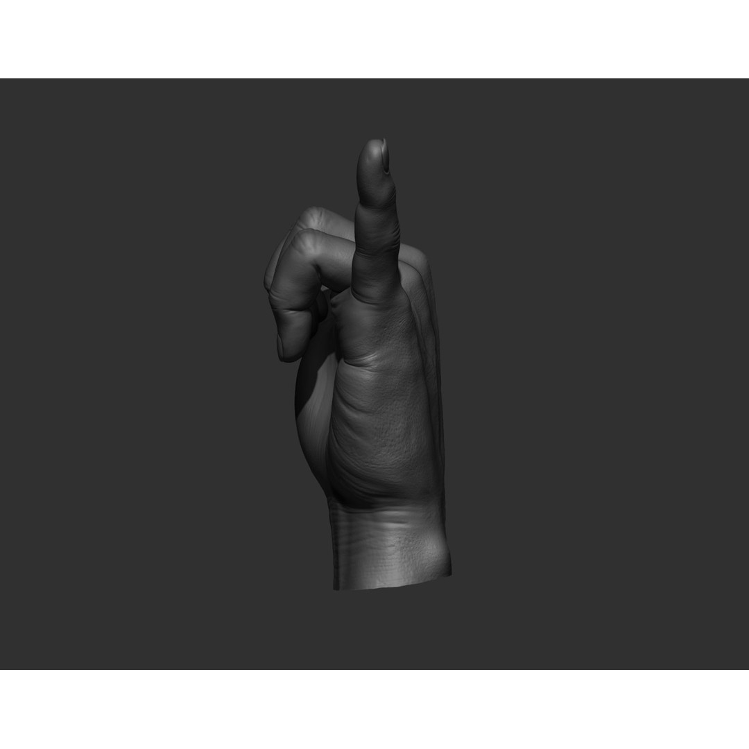 Realistic Male Hands 3D Model – High Poly Collection, Zbrush, FBX, OBJ - View 34