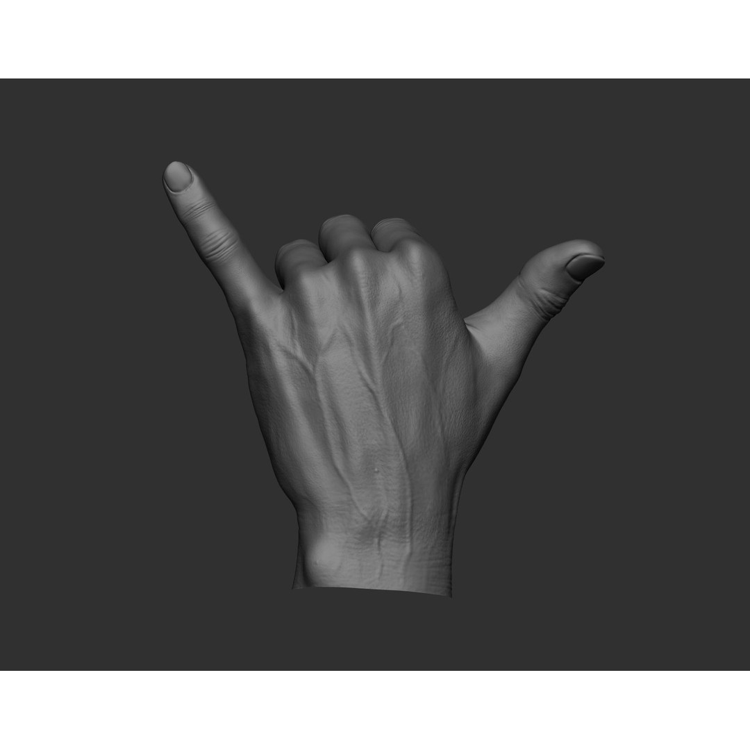 Realistic Male Hands 3D Model – High Poly Collection, Zbrush, FBX, OBJ - View 35