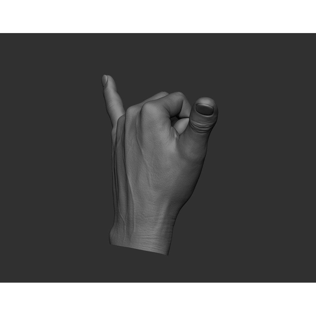 Realistic Male Hands 3D Model – High Poly Collection, Zbrush, FBX, OBJ - View 36