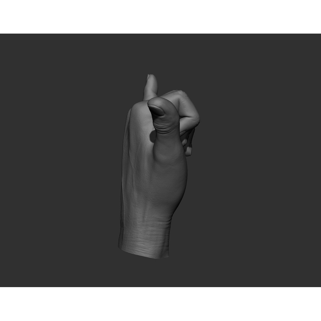 Realistic Male Hands 3D Model – High Poly Collection, Zbrush, FBX, OBJ - View 37