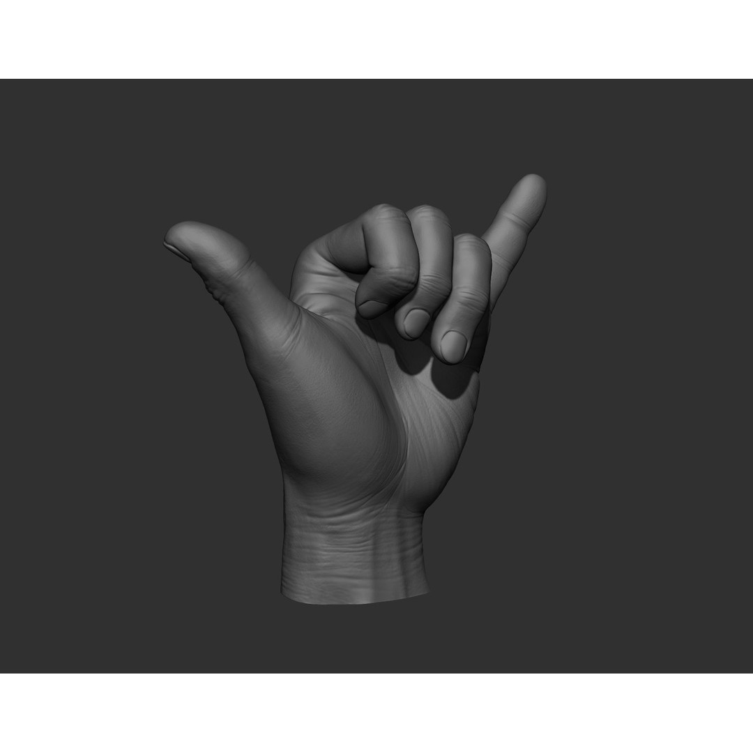 Realistic Male Hands 3D Model – High Poly Collection, Zbrush, FBX, OBJ - View 38